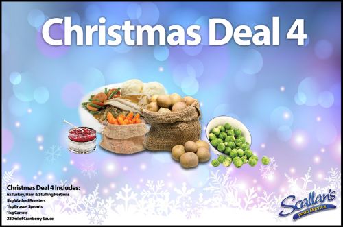 Christmas Portion Deal 